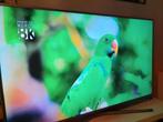 Samsung TV smart 4k 60 pouces, excellent état, TV, Hi-fi & Vidéo, Comme neuf, Enlèvement ou Envoi