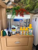 Aquariumset met vissen, Ophalen, Zo goed als nieuw