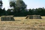 Petits ballots de paille Hannut - livraison - 0472498191, Dieren en Toebehoren, Stalling en Weidegang