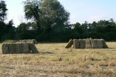 Petits ballots de paille Hannut - livraison - 0472498191, Dieren en Toebehoren, Stalling en Weidegang
