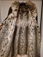 Bontjas voor dames maat 38/40, Kleding | Dames, Jassen | Winter, Ophalen of Verzenden