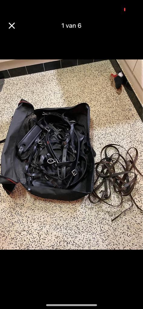 Mentuig zilco, Animaux & Accessoires, Chevaux & Poneys | Brides & Harnachement, Enlèvement