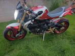 brutale 800 rr, Motoren, Motoren | MV Agusta, Particulier