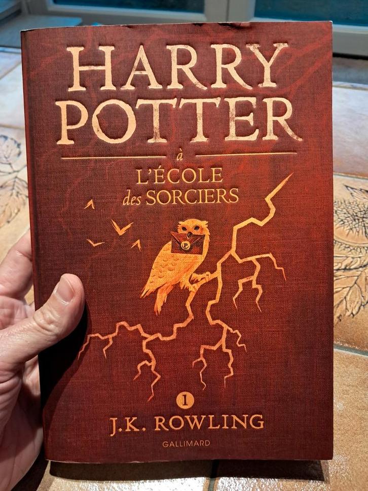 Harry Potter en de Steen der Wijzen - J.K. Rowling, Boeken, Kinderboeken | Jeugd | 10 tot 12 jaar, Zo goed als nieuw, Fictie