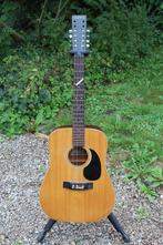 12-string (projectgitaar), Ophalen, Gebruikt, Western- of Steelstringgitaar, 12-snarig