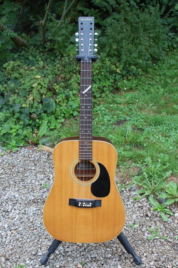 12-string (projectgitaar), Muziek en Instrumenten, Snaarinstrumenten | Gitaren | Akoestisch, Gebruikt, Western- of Steelstringgitaar