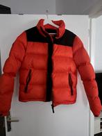 Doudoune superdry, Vêtements | Femmes, Vestes | Hiver, Neuf, Superdry, Taille 36 (S), Enlèvement