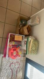 Hamster/cavia kooi en benodigdheden, Ophalen, Zo goed als nieuw, Kooi, Hamster