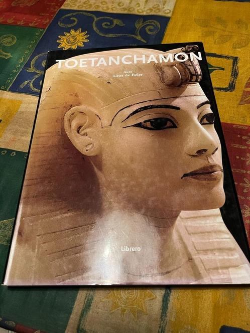Toetanchamon - Aude Gros de Beler, Boeken, Geschiedenis | Wereld, Zo goed als nieuw, Afrika, 14e eeuw of eerder, Ophalen of Verzenden