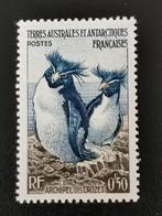 Terres Australes et Antarctiques francaises 1956 - pinguin**, Ophalen of Verzenden, Postfris, Zuid-Amerika