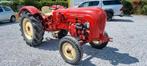 Porsche Standard Star, Zakelijke goederen, Landbouw | Tractoren, Ophalen, Oldtimer