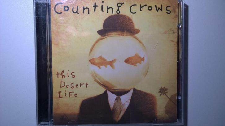 Counting Crows - This Desert Life, CD & DVD, CD | Rock, Comme neuf, Pop rock, Enlèvement ou Envoi