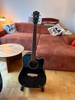 Washburn WD10SCE - te herstellen, Muziek en Instrumenten, Ophalen, Gebruikt, Overige typen, Met koffer