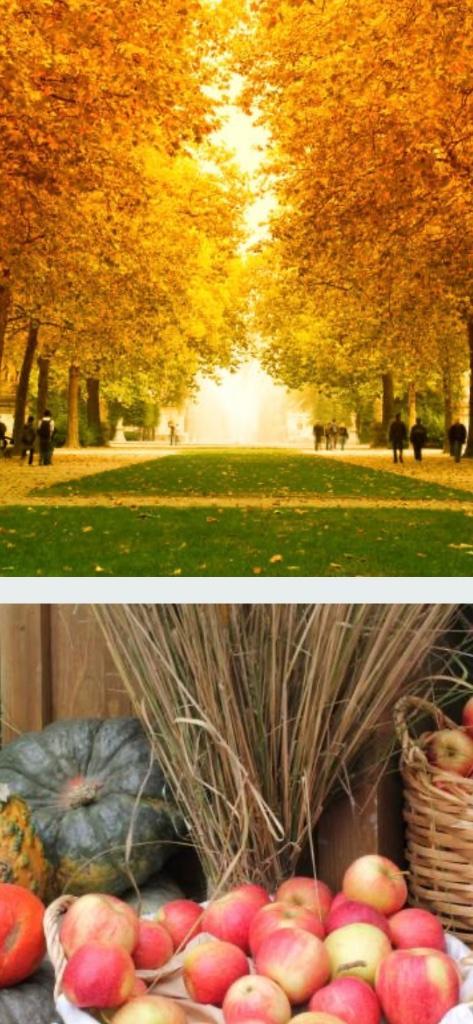 Ik zoek te Londerzeel … woonst … huisje ,studio appartement, Immo, Op zoek naar een appartement