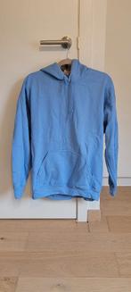 lichtblauwe hoodie met opdruk op rug, Kleding | Dames, Blauw, Maat 42/44 (L), Nieuw, Ophalen of Verzenden