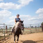 Leuk project paardje, Dieren en Toebehoren, Paarden, Gechipt, Minder dan 160 cm, Ruin, Zadelmak