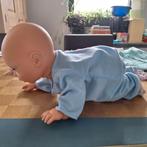 babypop die kan kruipen (Babyborn/Annabel), Kinderen en Baby's, Speelgoed | Poppen, Ophalen, Babypop