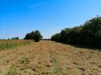 Weiland te koop
