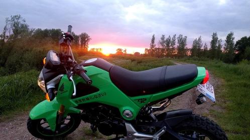 Honda msx 125 GROM, Motoren, Motoren | Honda, Particulier, Overig, 11 kW of minder, 1 cilinder, Ophalen