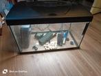 Aquarium 60l, Dieren en Toebehoren, Ophalen
