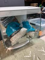 Fluval flex aquarium wit, Dieren en Toebehoren, Ophalen, Gebruikt, Leeg aquarium