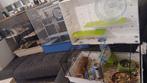 3 hamsters met 3 kooien, Dieren en Toebehoren, Ophalen of Verzenden, Hamster