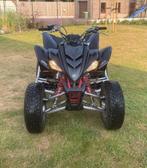 Yamaha raptor 350cc, Motoren