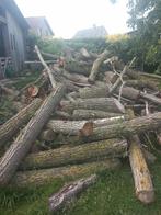 Wilgenhout, Tuin en Terras, Brandhout, Ophalen
