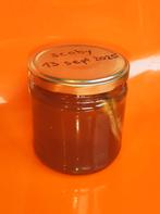 SCOBY Kombucha ( Symbiote / Mère ), Ophalen of Verzenden