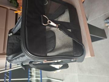 Reistas honden beschikbaar voor biedingen