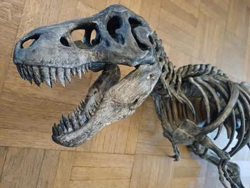 Grote 3D print T-Rex beschikbaar voor biedingen