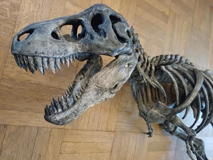 Grote 3D print T-Rex, Verzamelen, Mineralen en Fossielen, Fossiel, Ophalen