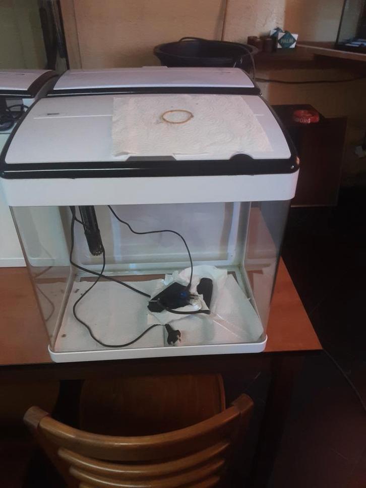 Verschillende aquariums te koop, Dieren en Toebehoren, Vissen | Aquaria en Toebehoren, Zo goed als nieuw, Ophalen