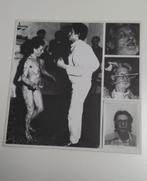 Wout Vercammen. LP., Boeken, Ophalen, Wout Vercammen, Nieuw, Overige onderwerpen