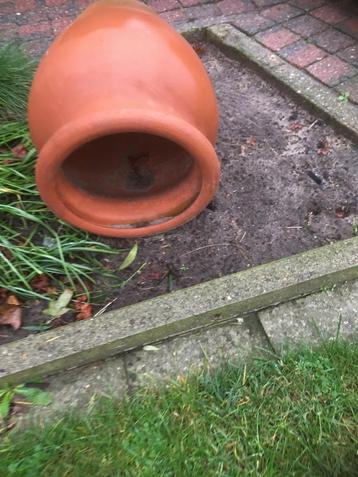 bloempot in terracotta beschikbaar voor biedingen