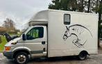 Iveco 3,5 tonnes homologué pour la vente. 2 voitures à cheva, Enlèvement, Utilisé, Polyester, Remorque 2 chevaux