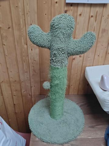 Cactuskrabpaal beschikbaar voor biedingen