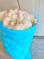 Schapenwol, Hobby en Vrije tijd, Ophalen, Nieuw