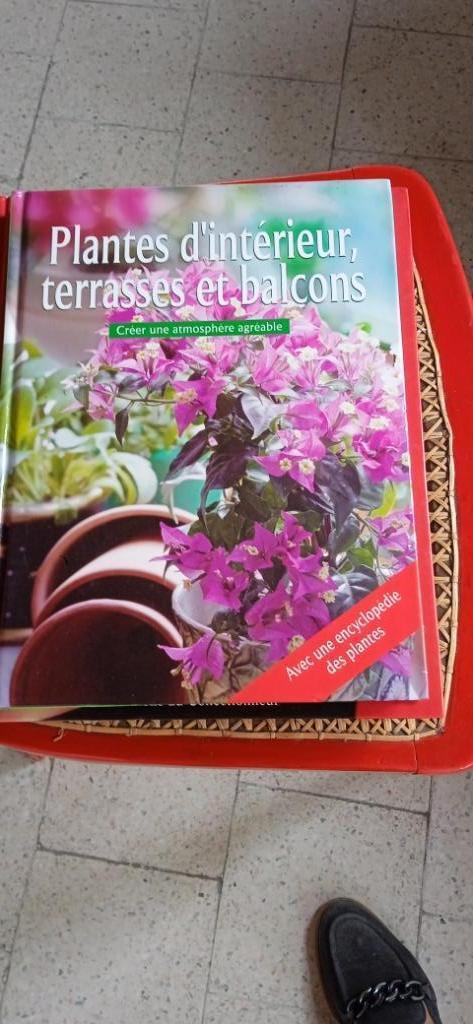 Livre "Plantes d' intérieur, terrasses et balcon", Livres, Maison & Jardinage, Neuf, Plantes d'intérieur, Enlèvement