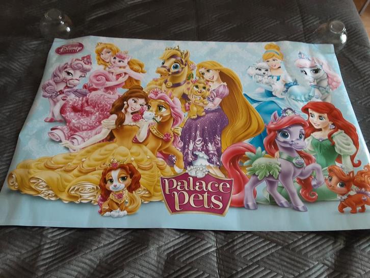 grote poster : prinses,music passion,soy luna,, Collections, Posters & Affiches, Neuf, Enlèvement ou Envoi