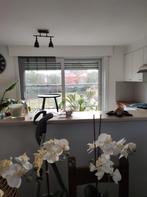 Décoration d'intérieur, Enlèvement