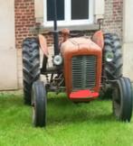 Massey Ferguson, Zakelijke goederen, Landbouw | Tractoren, Ophalen, Massey Ferguson