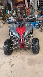 Yamaha quad yfm 250 special edition, Motoren