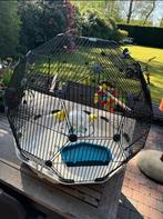 Geo 60 Vogelkooi, Dieren en Toebehoren, Vogels | Hokken en Kooien, Ophalen, Gebruikt, Vogelkooi