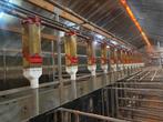 Voerstation pipefeeders varkens brokinstallatie