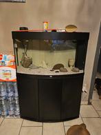 Aquarium complet 240litres, Animaux & Accessoires, Comme neuf, Enlèvement ou Envoi