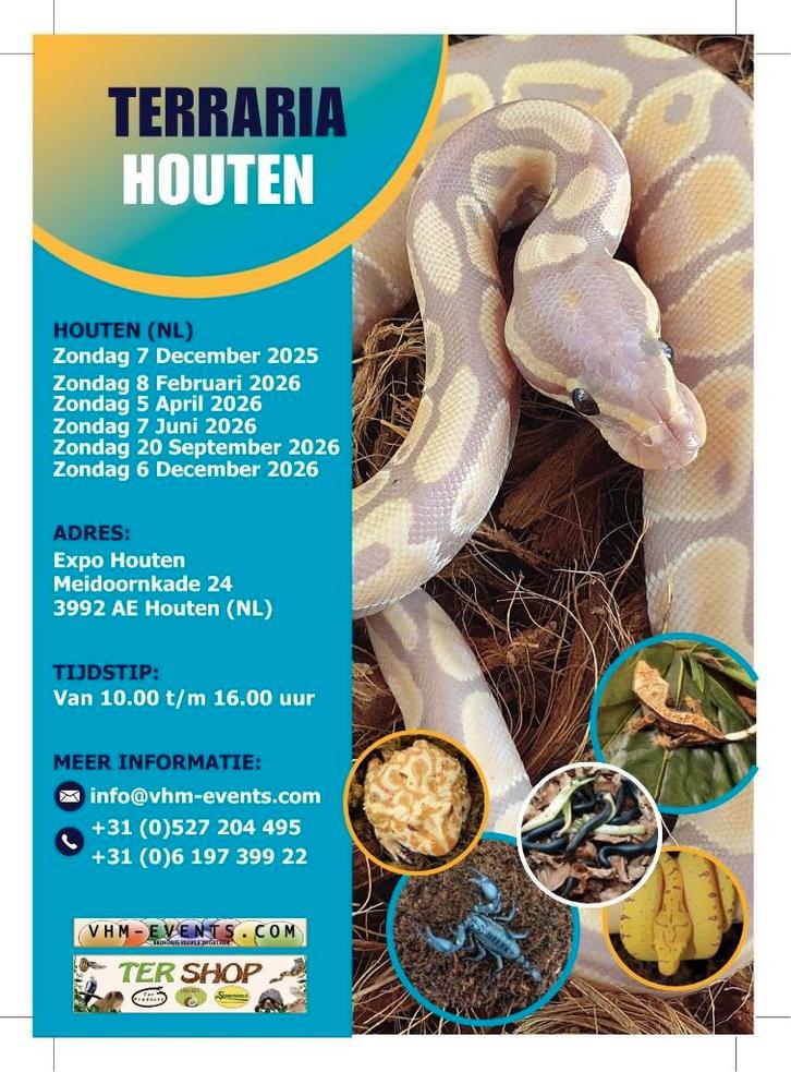 Terraria&Exoknaag Houten 07-12-2025 NL plus grand, Animaux & Accessoires, Insectes & Araignées