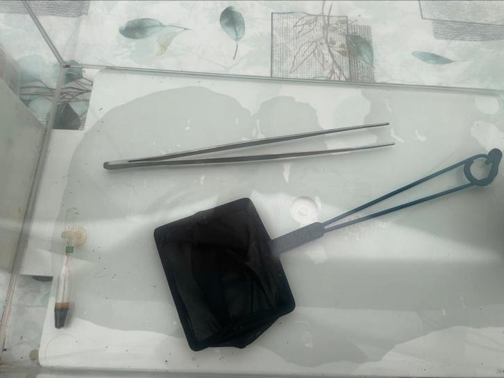 Aquarium d’eau douce, Dieren en Toebehoren, Vissen | Aquaria en Toebehoren, Leeg aquarium, Ophalen