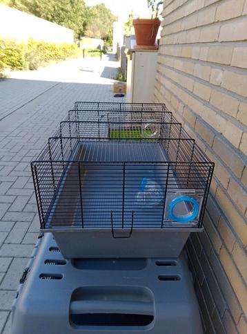 Hamsterhok   beschikbaar voor biedingen