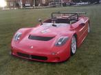 Maserati Barchetta foto, 1980 tot heden, Foto, Nieuw, Ophalen of Verzenden